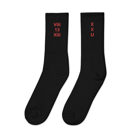 EXU ViiiXiii 13 Embroidered Socks