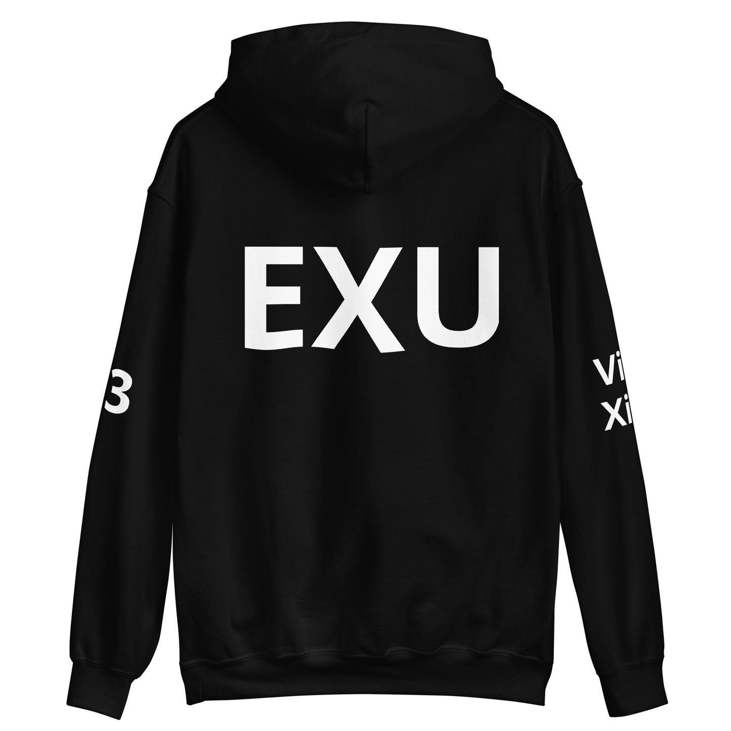 EXU 13 SWORDS Unisex Hoodie