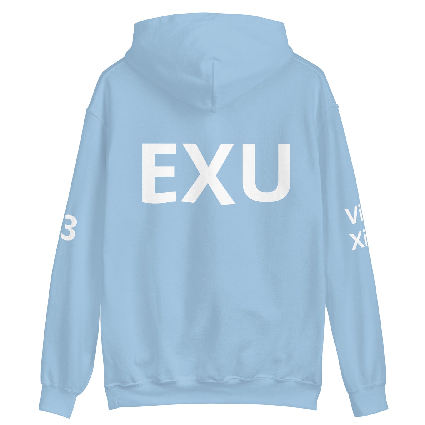 EXU 13 SWORDS Unisex Hoodie