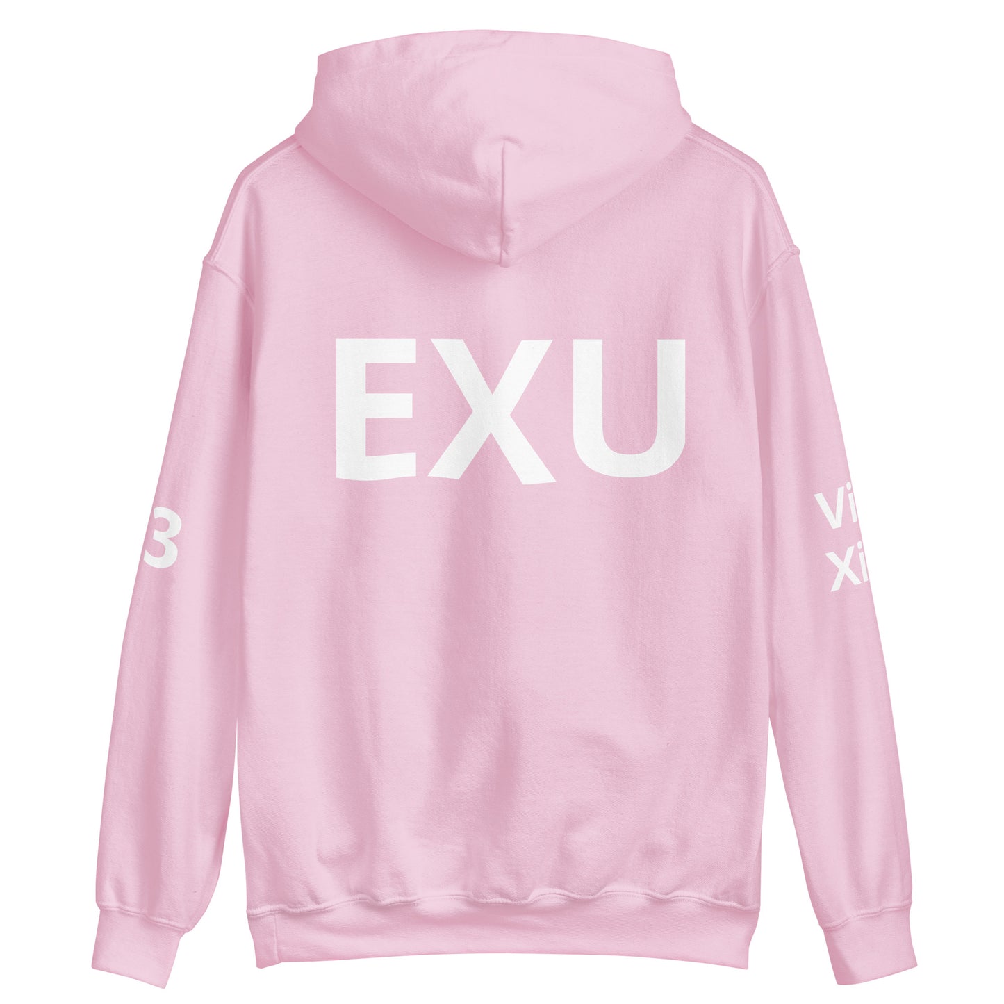 EXU 13 SWORDS Unisex Hoodie